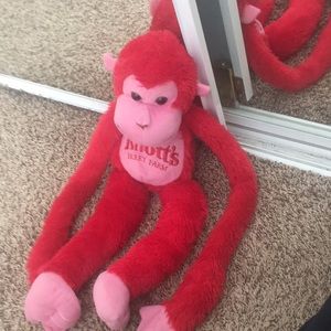 Knotts berry farm monkey